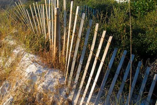 boundaries - BPD Community