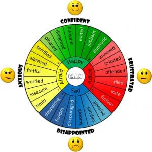 emotional wheel