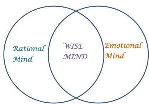 Rational mind, wise mind, emotional mind