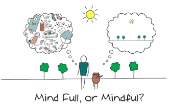 mindfulness and BPD